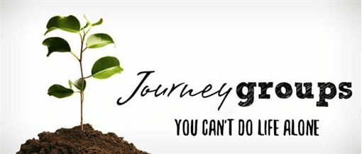 Journey Group graphic plant